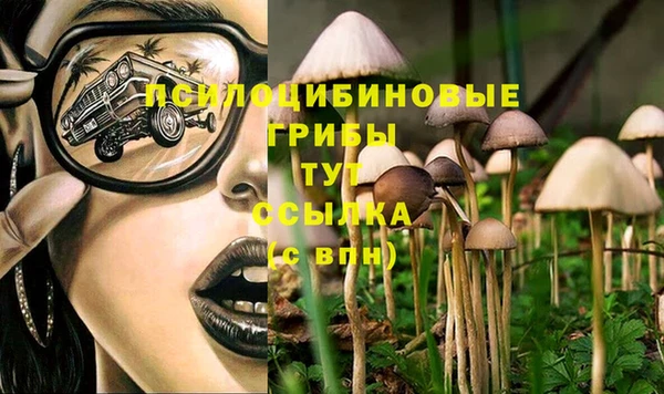 MESCALINE Покров