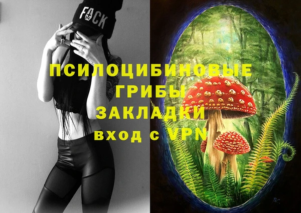 гидропоника Балабаново