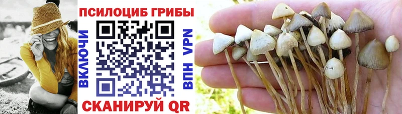 Галлюциногенные грибы Magic Shrooms  кракен вход  Макарьев  закладка 